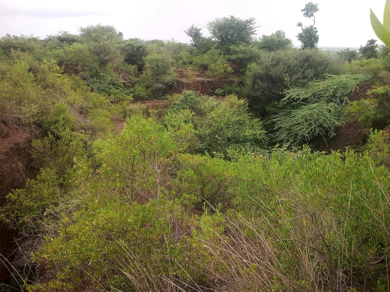 Ramajjanahalli Manganese and Iron Ore Mine — site view