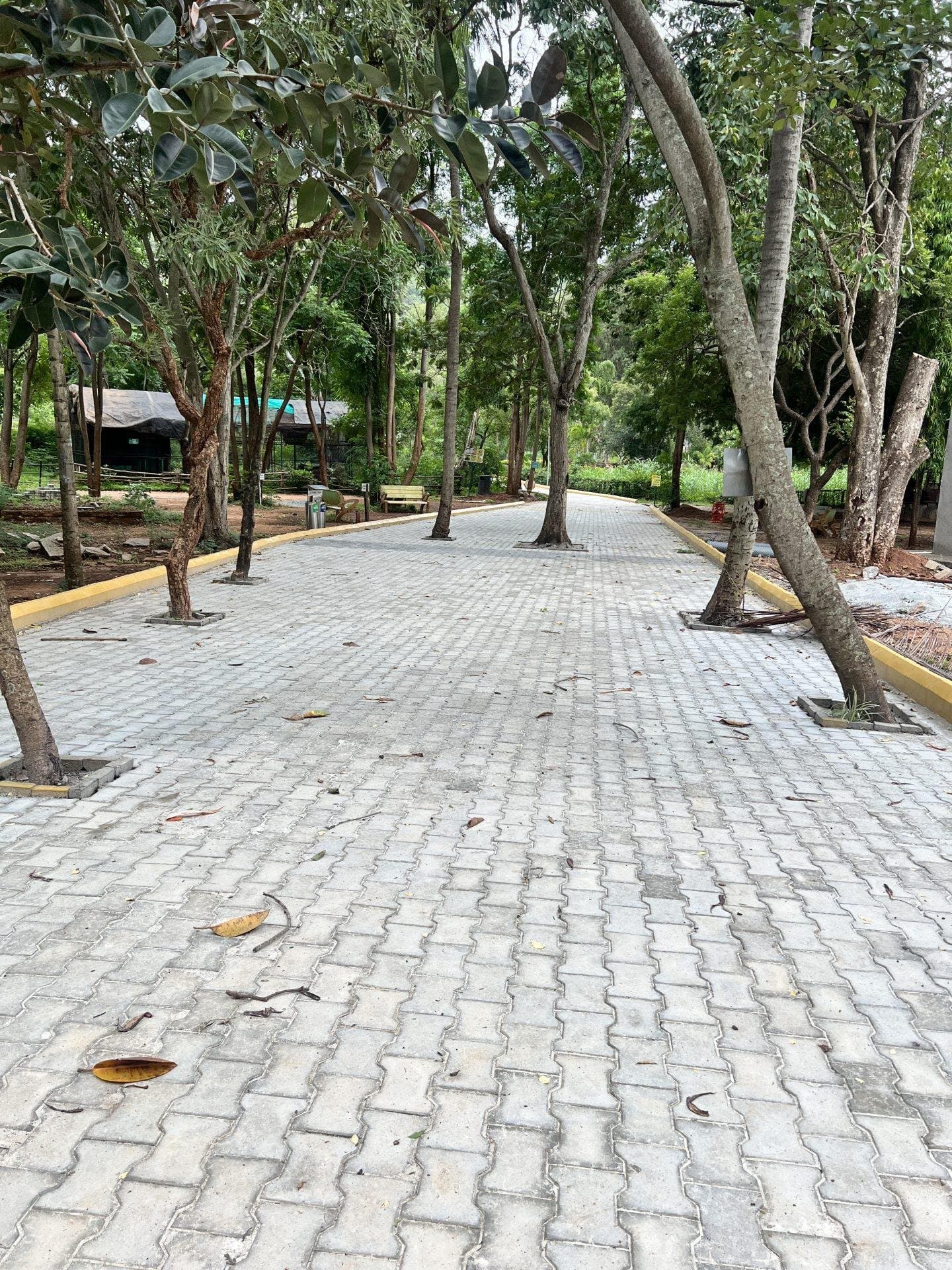 Rural Development and Infrastructure initiative by ERM Group (5)
