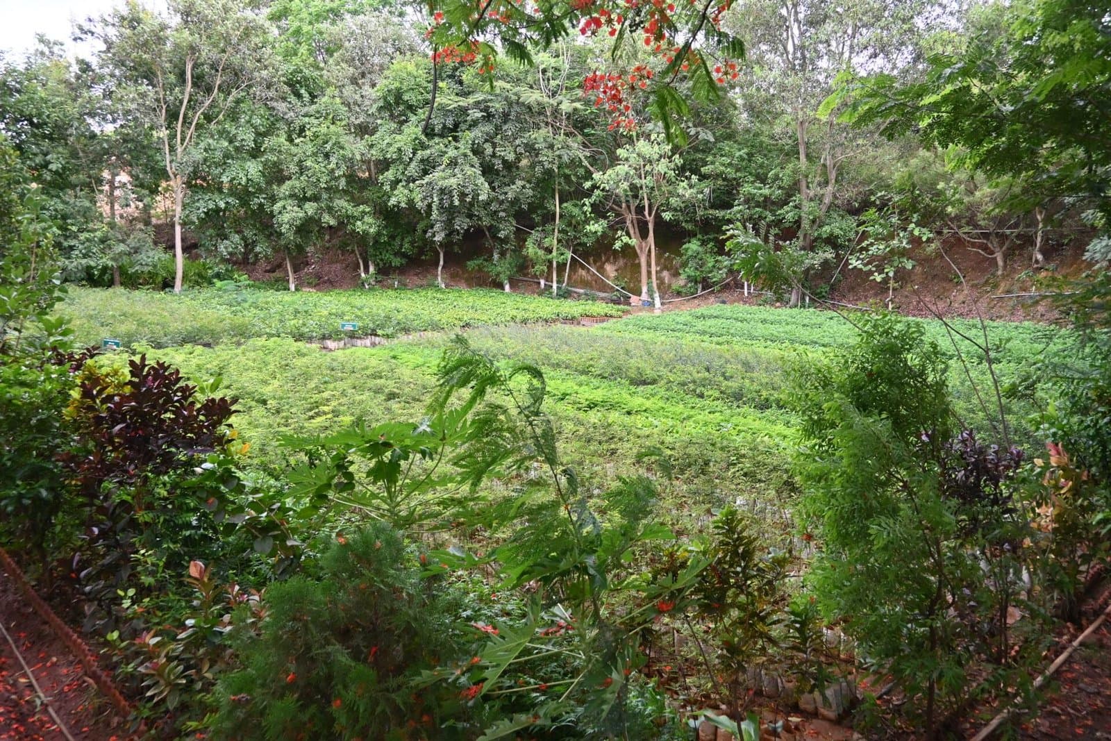 John Iron Ore Mine - site photograph